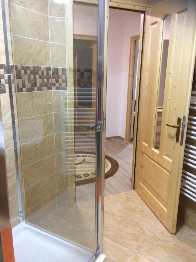 Ferienwohnung Vila Floarea De Colt Borşa Exterior foto