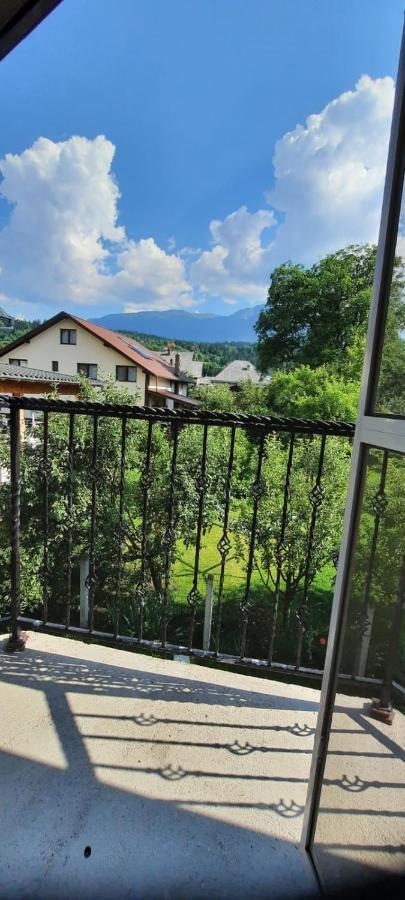 Ferienwohnung Vila Floarea De Colt Borşa Exterior foto
