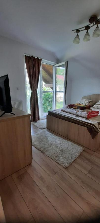 Ferienwohnung Vila Floarea De Colt Borşa Exterior foto