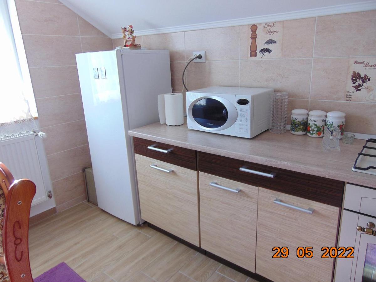 Ferienwohnung Vila Floarea De Colt Borşa Exterior foto