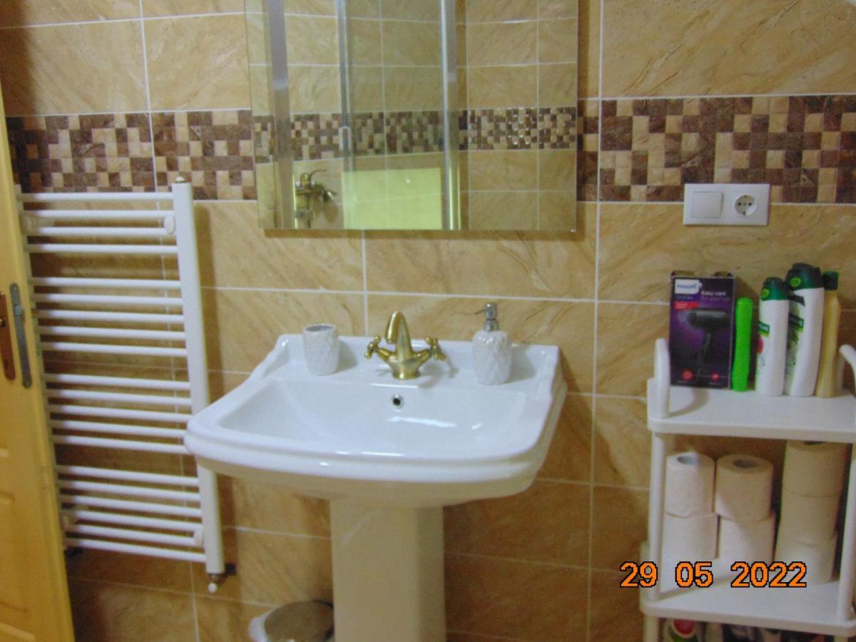 Ferienwohnung Vila Floarea De Colt Borşa Exterior foto